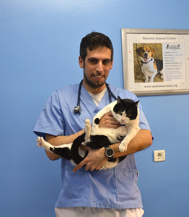 Medico veterinaria con un gato en sus brazos